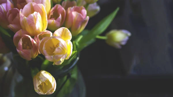 Piękne Kwiaty Tulipany Żółtego Różowego Koloru Wiosenne Wakacje Koncepcja — Zdjęcie stockowe
