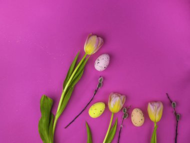 Beautiful tulips and pussy willow, colorful eggs on violet background, easter colorful eggs. Festive Easter concept with copy space. Flat lay