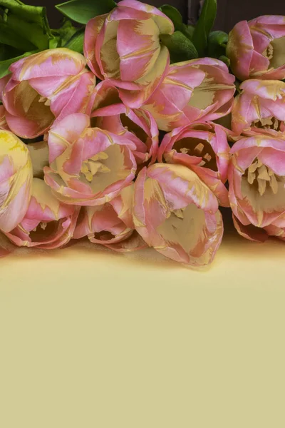 Ramo Vintage Tulipanes Color Pastel Sobre Fondo Amarillo Con Espacio —  Fotos de Stock