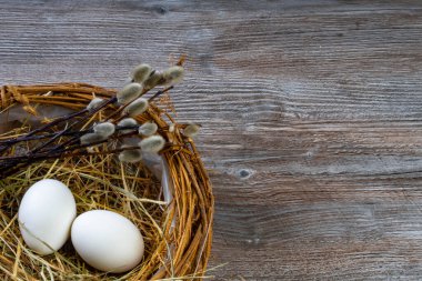 Paskalya sepeti ya da paskalya yumurtalı kuş yuvası, eski ahşap arka planda kedi söğüdü