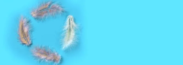 Frame Pastel Color Fluffy Feathers Blue Background Flat Lay Copy — Stock Photo, Image