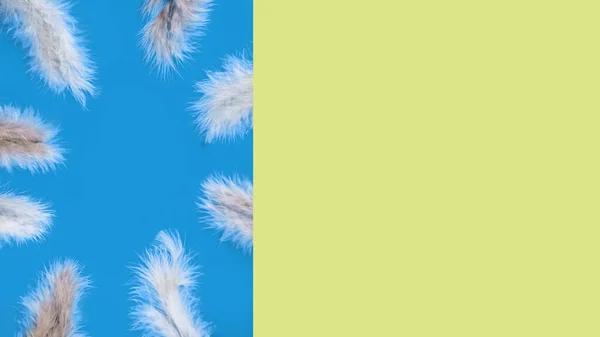 Multi Colored Light Feathers Yellow Blue Background Greeting Card Concept — Stock Photo, Image