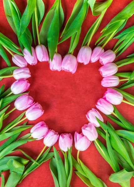 Ünnepi Összetétele Formája Szív Gyönyörű Friss Rózsaszín Tulipán Lapos Laikus — Stock Fotó
