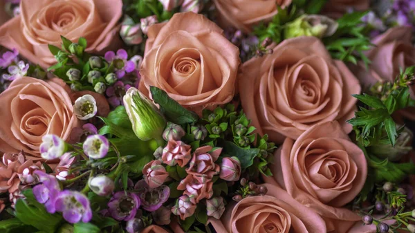 Soft Focus Aproape Flori Proaspete Trandafiri Crem Brunch Violet Verde — Fotografie, imagine de stoc