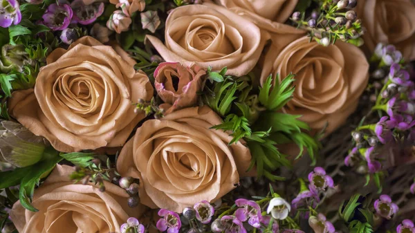 Hermoso Color Crema Rosas Ramo Flores Relación Romántica Concepto Diseño — Foto de Stock