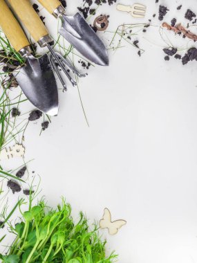 Bahçe aletleri seti, topraklı sağlıklı mikroyeşil, yaz bahçesi konsepti. Kapatın. Pankart. Seçici odak