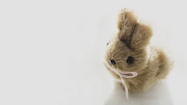 Lindo Conejito Pascua Sobre Fondo Blanco Enfoque Selectivo —  Fotos de Stock