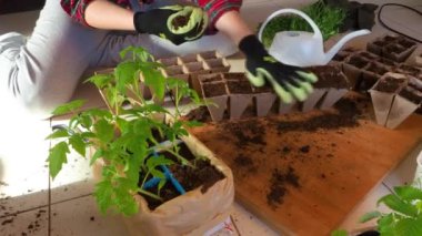 Paskalya seramik tavşanı ve tatlı renkli yumurtalı kekler.