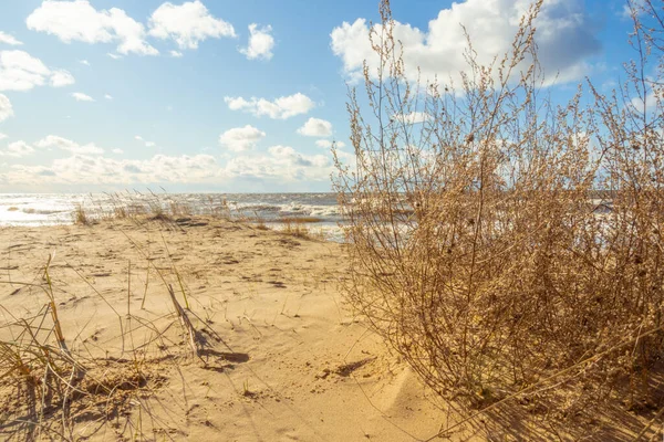 Hermosa Escena Playa Con Arena Amarilla Dunas Altas Hierbas Cielo — Foto de Stock