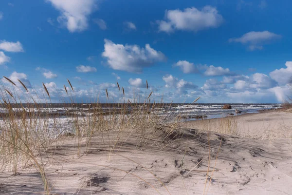 Морський Пляж Прекрасним Блакитним Небом Травою Дюн Піском Морським Ландшафтом — стокове фото