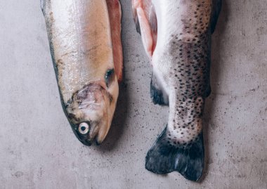 Gökkuşağı alabalık kuyruğu ve balık kafası gri beton arka planda