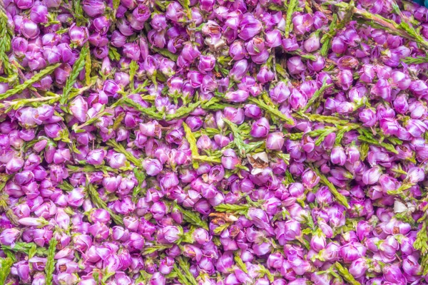 Sağlıklı Heather Kurutulmuş Çiçek Çayı Arka Planı Homeopati Bitkisel Ilaçlar — Stok fotoğraf