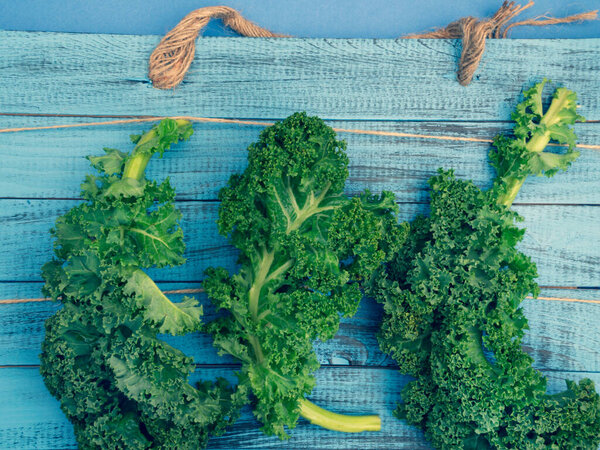 fresh bunch of curly kale green leaves on blue wooden table, healthy organic vegetarian food, rich in antioxidants, vitamin, calcium, selective focus