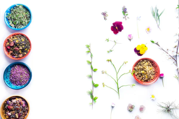 Assortiment Fleurs Sèches Parfumées Mélangées Variété Herbes Thé Dans Des — Photo