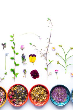 Karışık kokulu kuru çiçekler ve beyaz üzerine izole edilmiş seramik kaselerde çeşitli bitki çayları. Bitkisel ilaçlar, homeopati ve sağlık için bitki çayı, üst görünüm, seçici odaklanma