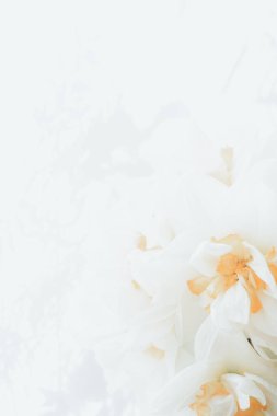 Sir Winston Churchill 'in çiçek demeti, çiçek açan, merhaba bahar konsepti. Yumuşak odaklan, boşluğu kopyala. Kart