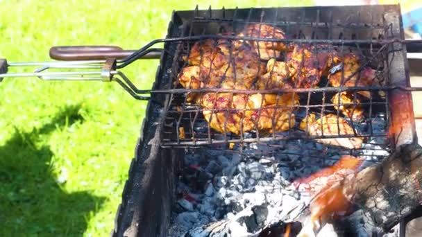 Carne Grelha Livre Cozinhar Churrasco Carne Grelha Carvão Piquenique Festa — Vídeo de Stock