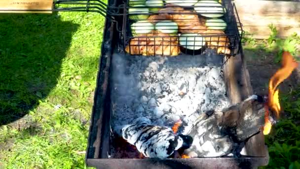 Mięso Bakłażan Warzywa Grillu Świeżym Powietrzu Gotowanie Mięsa Grill Węgiel — Wideo stockowe