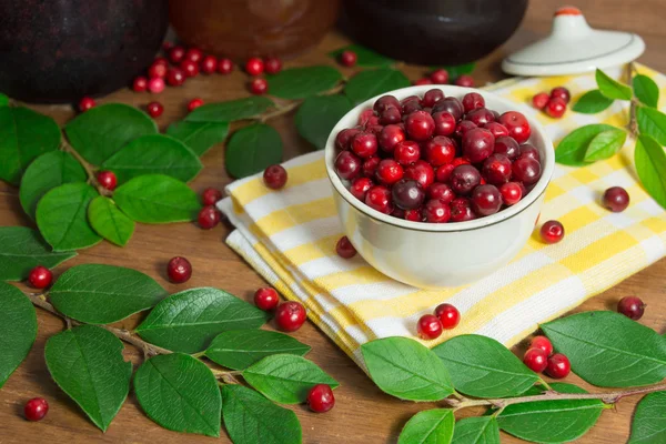 Cowberry frais dans un petit plat — Photo