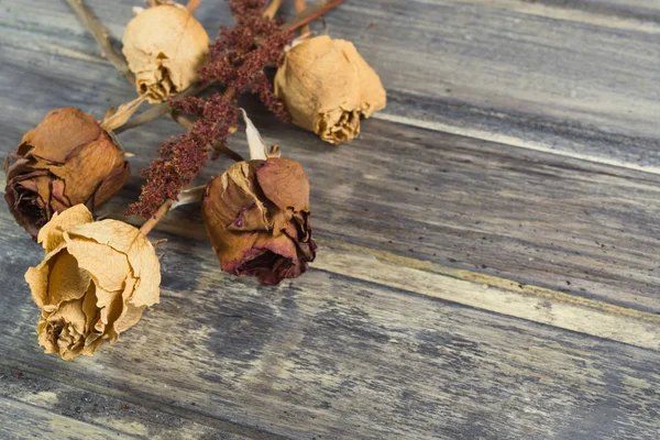 Strauß der getrockneten Blume mit zwei roten und drei weißen Rosen — Stockfoto