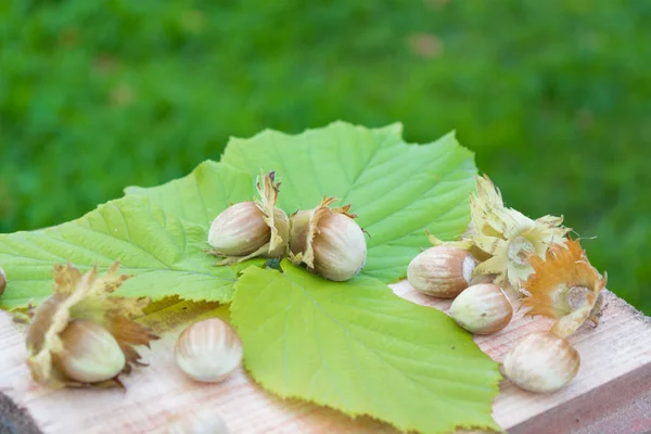 Noisettes entières avec feuilles sur la planche en bois — Photo