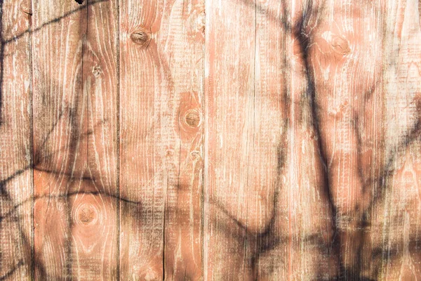 Trä bakgrund med skuggan av träd — Stockfoto