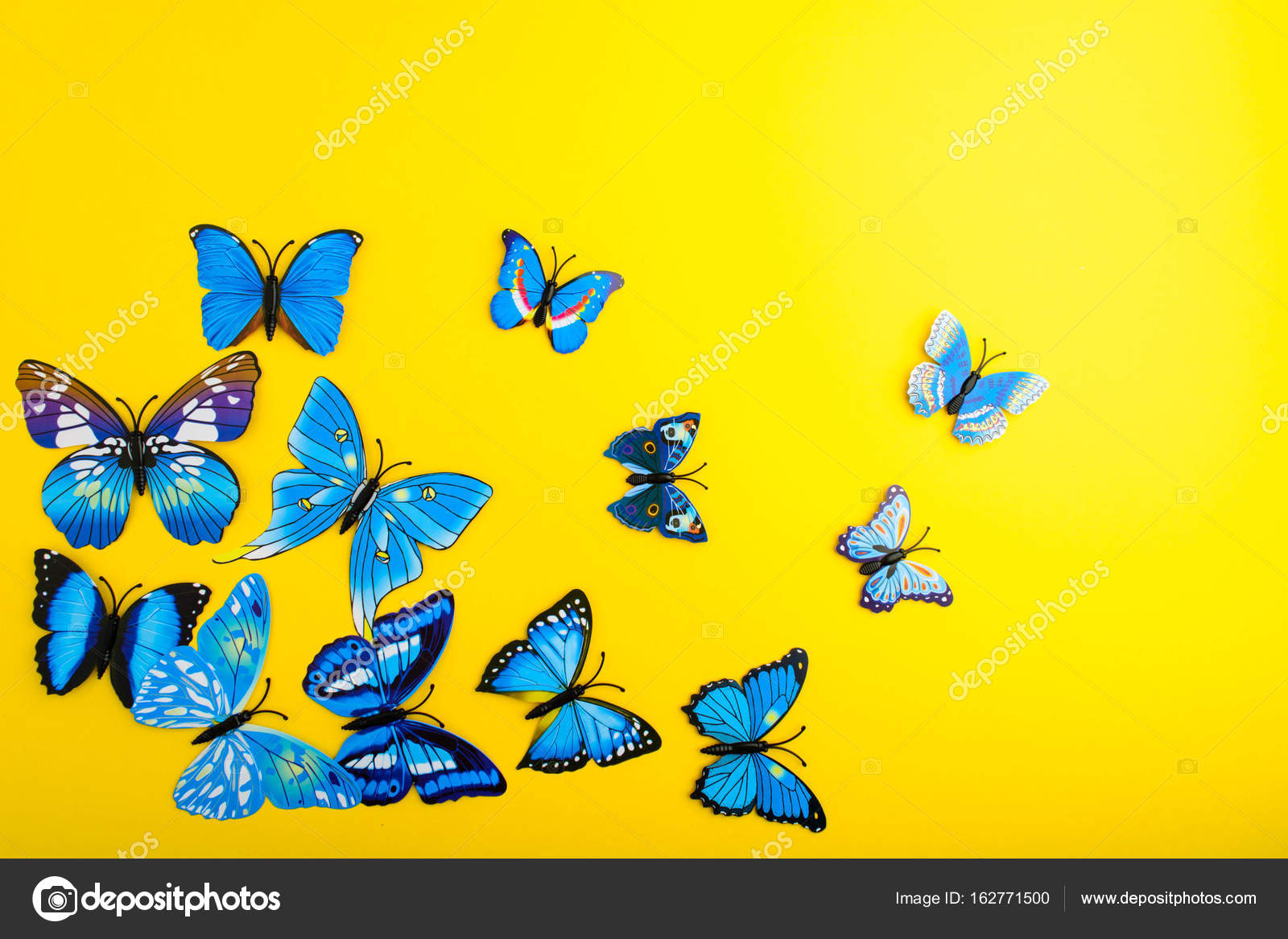 Blue And Yellow Butterfly Wallpaper