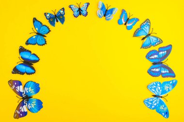 Sarı zemin üzerine mavi kelebek