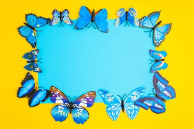 Mavi merkezi gazetede sarı mavi kelebek ile kablosuz arka plan