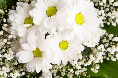 Daisy ile birlikte mini beyaz çiçek dekorasyon