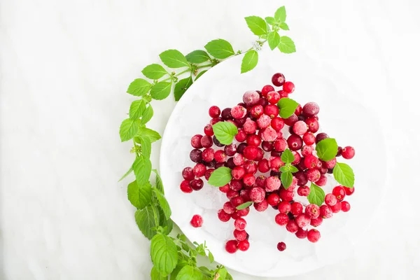 Заморожені ягоди та свіжа м'ята з льодом на білій тарілці — стокове фото