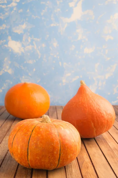 Tres calabazas sobre fondo azul — Foto de Stock