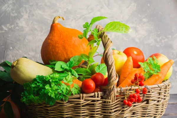 Diferentes verduras y frutas de otoño en cesta con respaldo gris — Foto de Stock