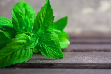 Ahşap masa üzerinde İtalyan baharat yeşil taze fesleğen