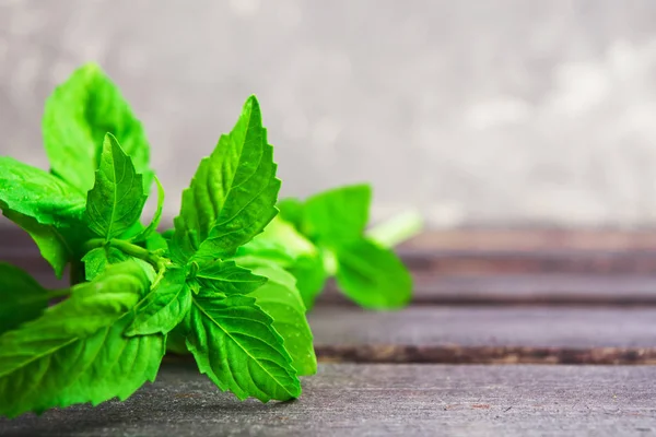 Ahşap zemin üzerine yeşil taze aroması fesleğen