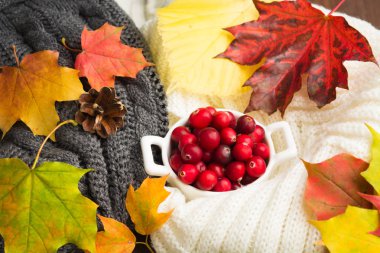 Güz konsepti ile sıcak giysiler ve Kızılcık Sonbahar ile terk
