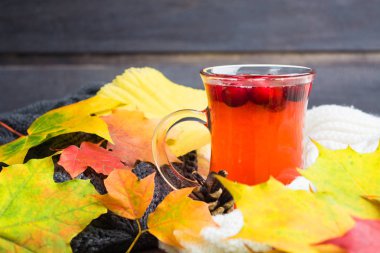 Sonbahar yaprakları kırmızı kızılcık içecek ve sıcak giysiler ile