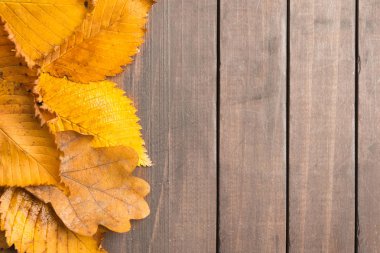 Ahşap backg üzerinden dokulu sarı eski yaprakları ile sonbahar konsepti