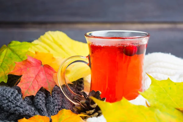 Sıcak kızılcık içki Kupası yaprakları ve sıcak giysiler ile