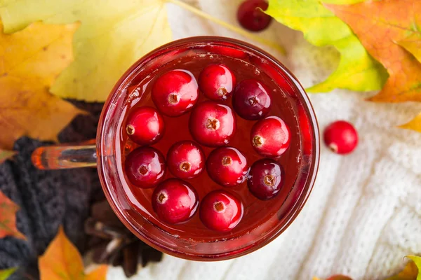 Kızılcık Sonbahar İçecek sıcak yün elbise sonbahar yaprakları ile üzerinde