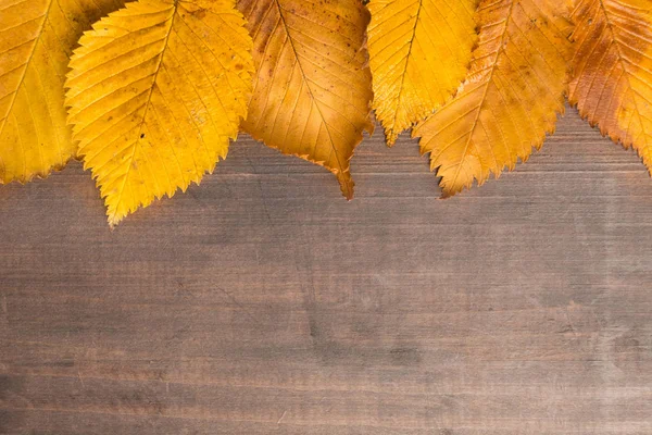 Dokulu sarı kirli üzerinde ahşap arka plan tasarım sonbahar yaprakları
