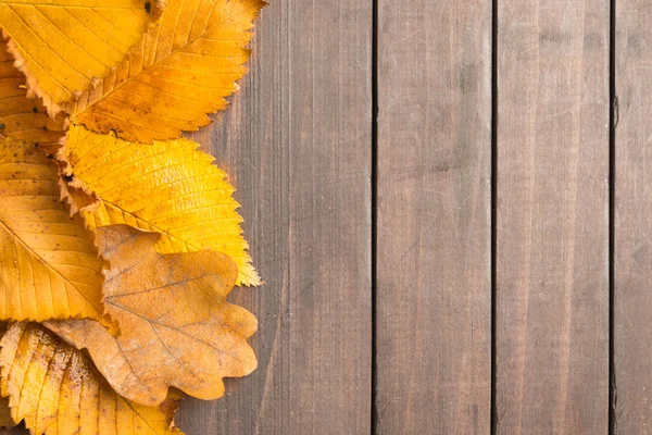 Ahşap backg üzerinden dokulu sarı eski yaprakları ile sonbahar konsepti