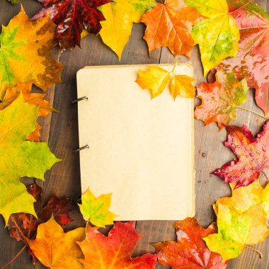 Defter, ıslak sonbahar akçaağaç yaprakları ile tasarım sonbahar konsantrasyon