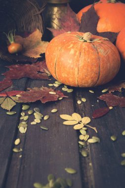 Tonda sonbahar konsepti ile kabak ve sonbahar yaprakları