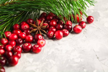 Taze kızılcık ve köknar ağacı ve anasonu Noel arka plan