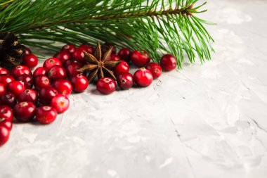 Taze kızılcık ve köknar ağacı ve anasonu Noel arka plan