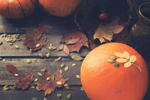 Tonda sonbahar konsepti ile kabak ve sonbahar yaprakları