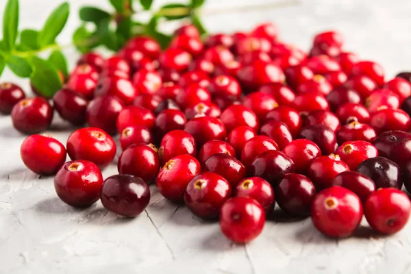 Fresh cranberries over grey background — Stock Photo, Image