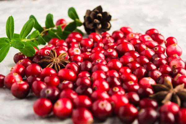 Tranbär och stjärnanis över grå bakgrund — Stockfoto