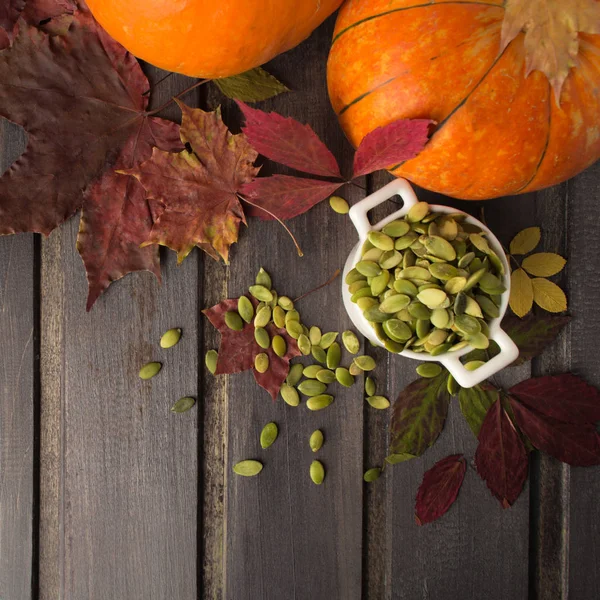 Semillas de calabaza con hojas de otoño — Foto de Stock